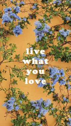 blue flowers growing on the side of a yellow wall with words live what you love