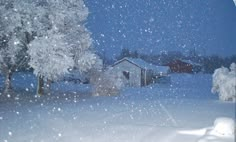 a snow covered yard with trees in the foreground and a house in the background