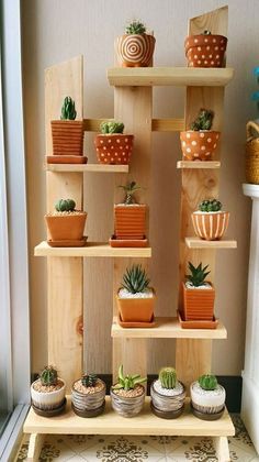 there are many potted plants on the shelves