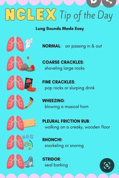 a poster with the words nclex on it and an image of lungs in different colors