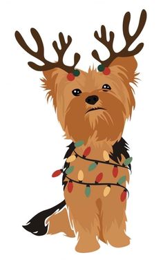 a small dog with christmas lights on its head and antlers around his neck, sitting down