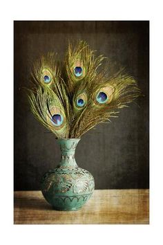 a vase with some peacock feathers in it