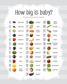 a baby's food chart with the words how big is baby?