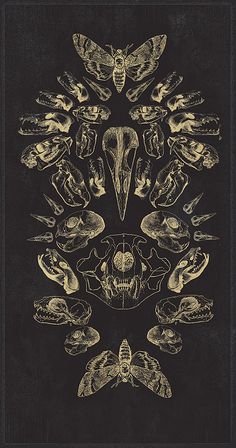 a black and white drawing with moths on it's face, surrounded by skulls