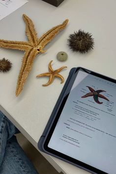 a tablet computer sitting on top of a table next to some sea urchins