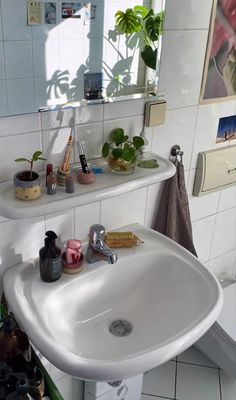 a white sink sitting under a bathroom mirror next to a green shelf filled with plants