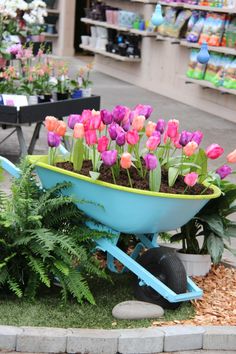 a wheelbarrow filled with lots of colorful flowers