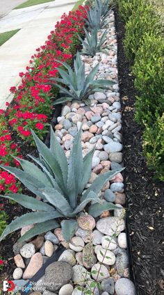 a garden with rocks and plants in it