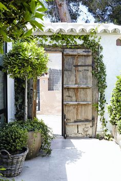 an open wooden door with ivy growing on it's sides and in between two potted plants