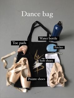 the contents of a dance bag are shown with their names and description on it's side