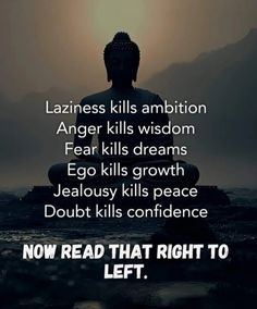 Buddha Quotes to Bring Peace into Your Life Physical Features, Anger, To Start, Sign Up