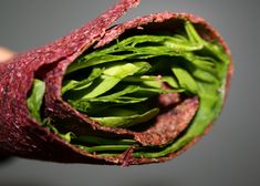 a close up of a person's hand holding a piece of green leafy food