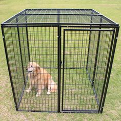 a large brown dog sitting inside of a metal cage on top of some green grass