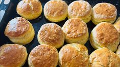 freshly baked bread rolls in a pan ready to be cooked on the stove or oven