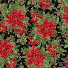 red poinsettis and green leaves on a black background