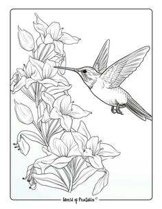 a hummingbird is flying over some flowers