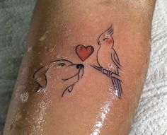 a couple of birds sitting on top of a dog's leg with a heart