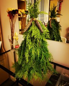 two pine cones are sitting on top of some green plants in front of a mirror