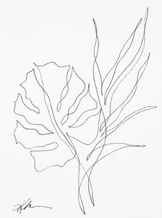 a black and white drawing of a leaf