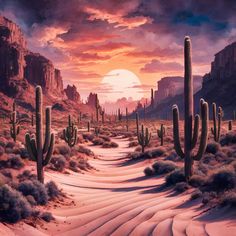 a desert scene with many cacti in the foreground and a sunset in the background