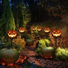 pumpkins lit up in the garden at night