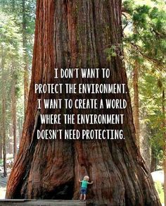 a person standing next to a giant tree in the forest with words written on it