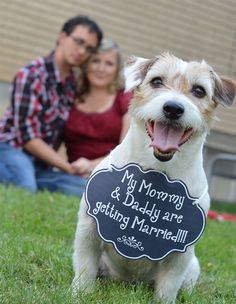 a man and woman sitting in the grass with a dog holding a sign that says, my mommy & daddy are getting married