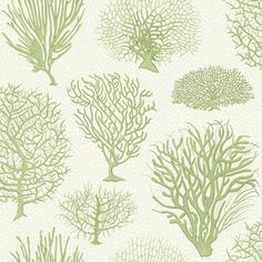 Acquire 107/2008 Cs Seafern Soft Green By Cole and Son Wallpaper Fern Wallpaper, Subtle Background, Cole And Son Wallpaper, Antique Botanical Print, Classic Wallpaper, Interior Wallpaper, Wallpaper Rolls, Fern Green, Fabric Houses