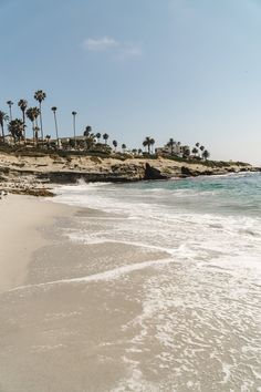 the beach has waves coming in to shore and palm trees on the hill behind it