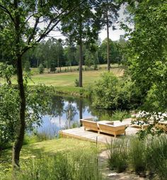 a wooden bench sitting on top of a lush green field next to a lake and forest