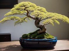 a bonsai tree sitting on top of a wooden table