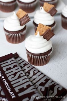 chocolate cupcakes with white frosting and graham's cracker on top