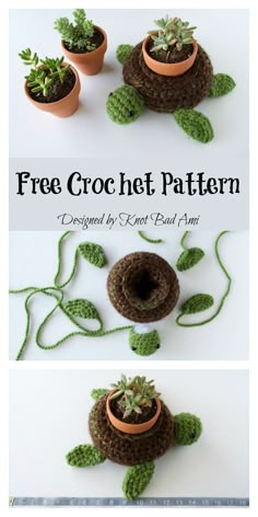 crocheted turtle planter with succulents in it and the text, free crochet pattern