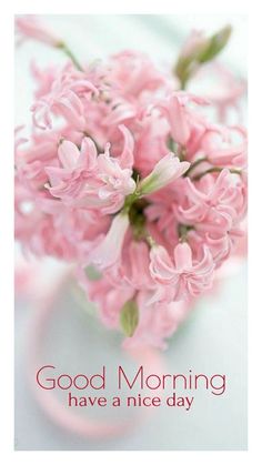 pink flowers in a vase with the words good morning have a nice day