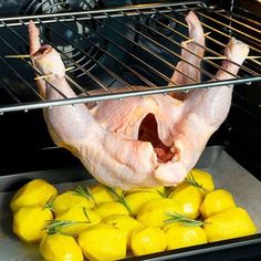 a raw chicken in the oven with lemons and rosemary on the rack next to it