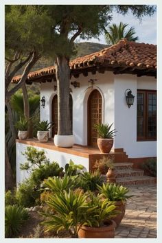 a white house with potted plants and trees