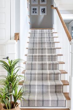 the stairs in this house are lined with carpet