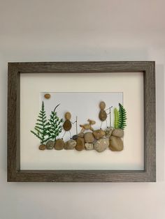 some rocks and plants in a frame on the wall