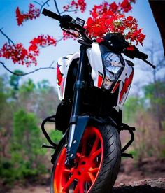 a motorcycle parked next to a tree with red flowers on it's back tire