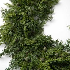 the branch of a pine tree has cones on it