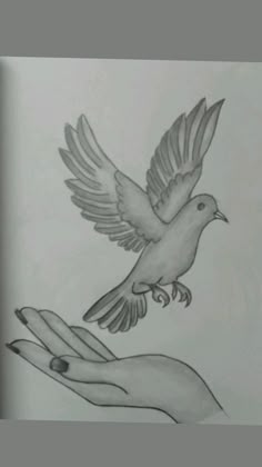 a pencil drawing of a bird flying over a person's hand with two fingers