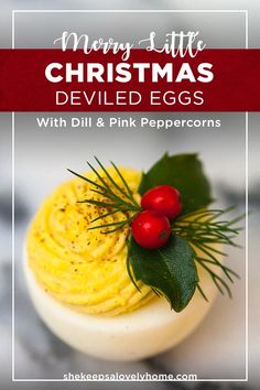 deviled eggs with pink peppercorns and holly on top are the perfect christmas appetizer