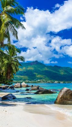 Best Time to Visit Seychelles Exotic Vacation Destinations, Paradise Travel, Exotic Beaches, Dream Vacations Destinations, Tropical Beaches, Beach Wallpaper, Beautiful Locations Nature, Beach Paradise, Travel Pins