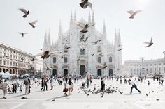 many birds are flying around in front of a cathedral