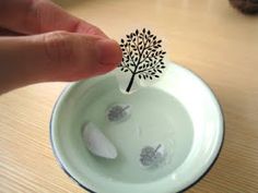 someone is holding their finger over a bowl with water and trees in it on top