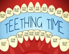 a poster with teeth and the words teething time written in blue on red background