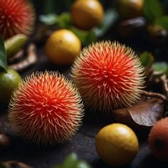 some fruit that are sitting on the ground next to leaves and other fruits in the background