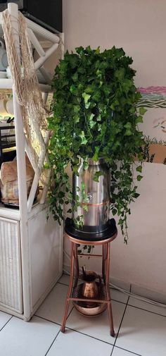 a potted plant sitting on top of a metal stand next to a shelf filled with books