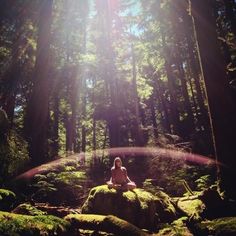 a person sitting on top of a rock in the middle of a forest filled with trees