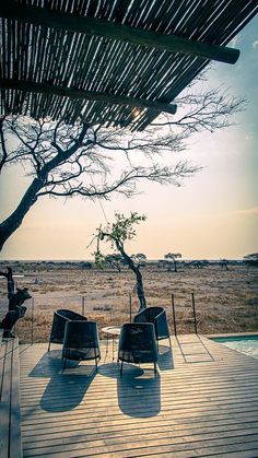 two chairs sitting on a wooden deck next to a tree in the middle of an open field